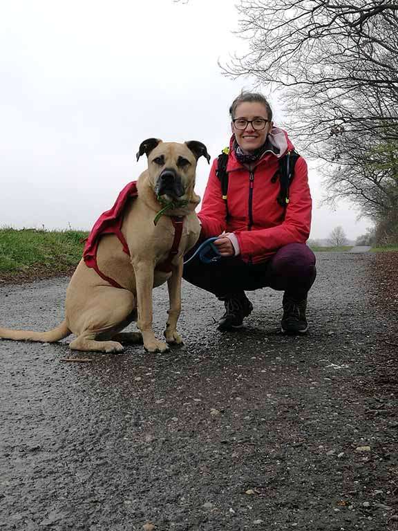 Hund Adam läuft 650 Kilometer durch Wald und Wiese Gutes