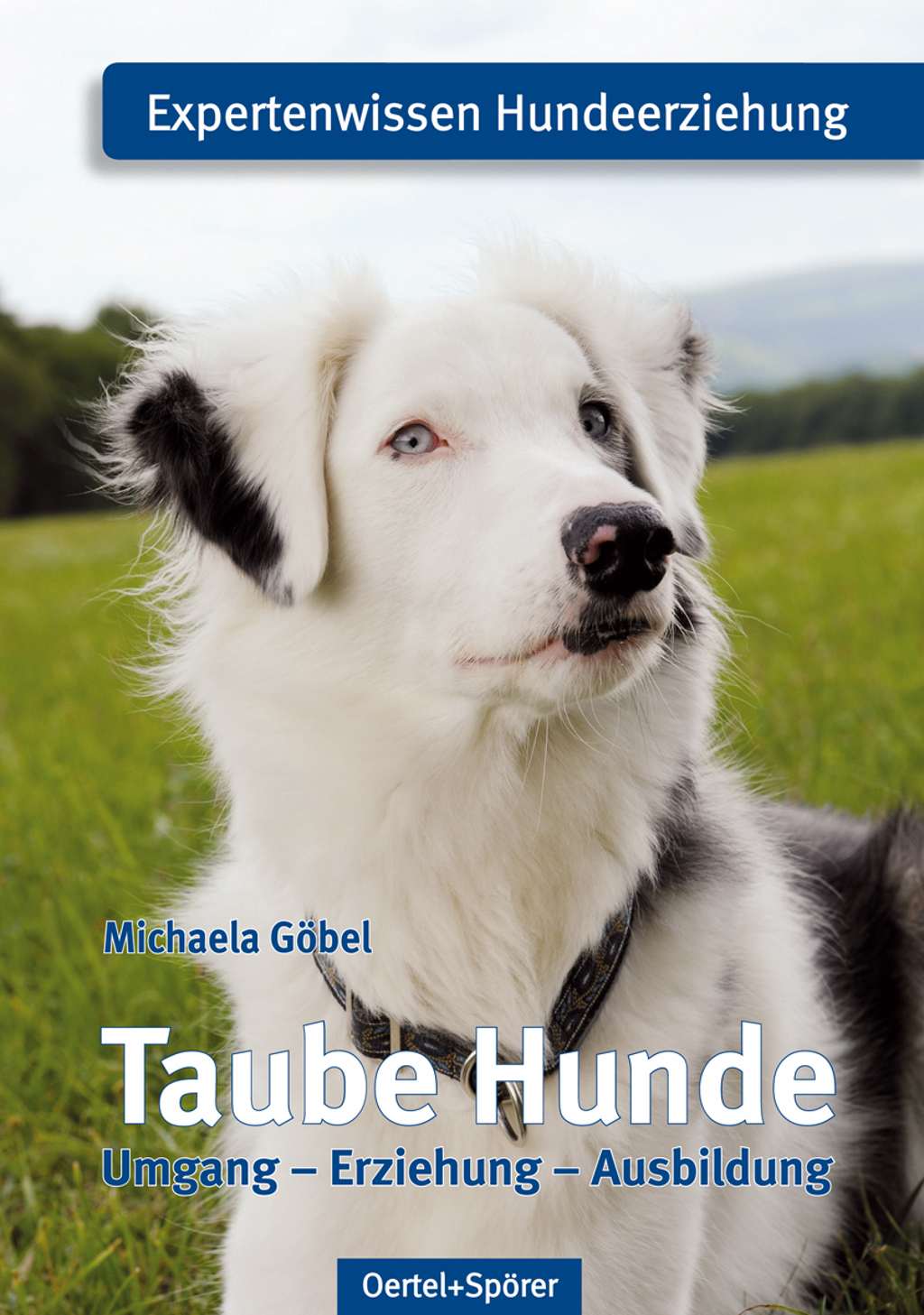 Taube Hunde Gutes für Hunde und ihre allerbesten Freunde