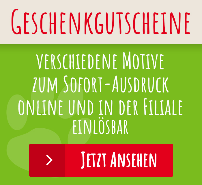 img-widget_GutscheinZwJi4aTIZcEuE